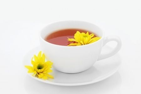 trà hoa cúc trị béo phì dân gian bài thuốc