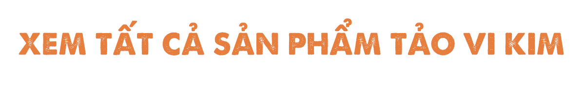xem tat ca san pham tao sato