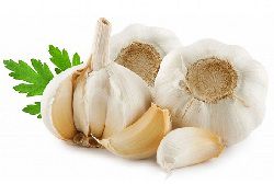 Công dụng của tỏi trong việc điều trị bệnh theo cách dân gian
