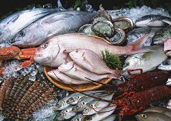 Chọn mua hải sản tươi ngon - bí kíp dành cho các nhà nội trợ