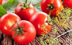 Những công dụng tuyệt vời đến từ quả cà chua