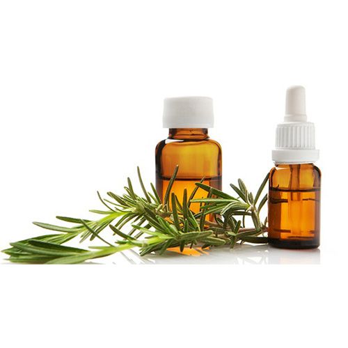 TINH DẦU HƯƠNG THẢO NGUYÊN CHẤT ( Rosemary essential oil )