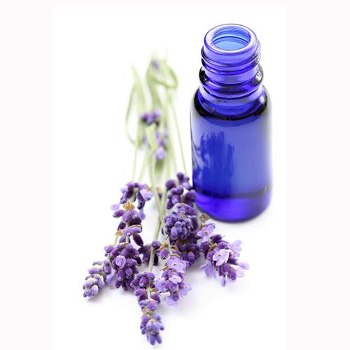 TINH DẦU OẢI HƯƠNG NGUYÊN CHẤT ( Lavender essential oil )